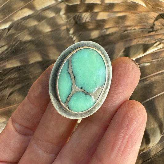 Available! Desert Bloom Variscite sterling silver ring. Size 8 wide band